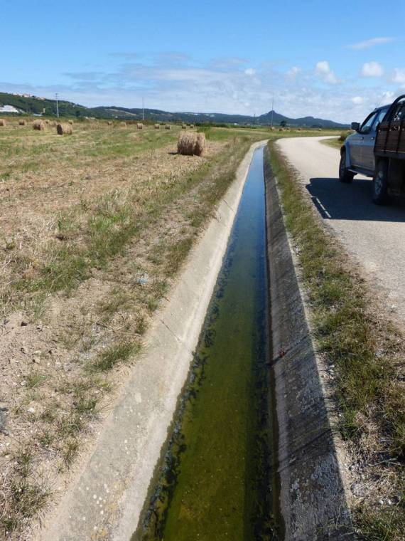 Canal das Navegadas