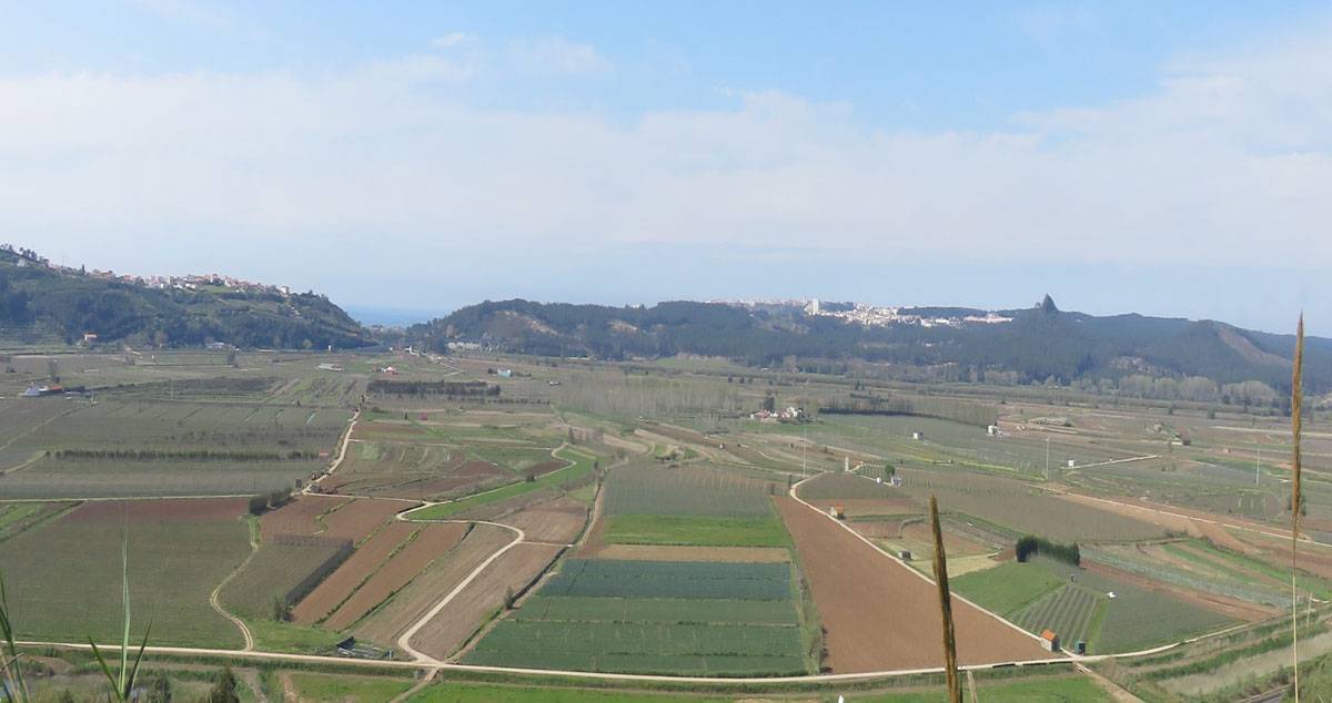 Campos de cultivo na área de intervenção