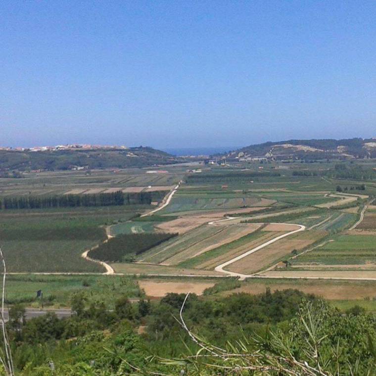 Campos de cultivo na área de intervenção