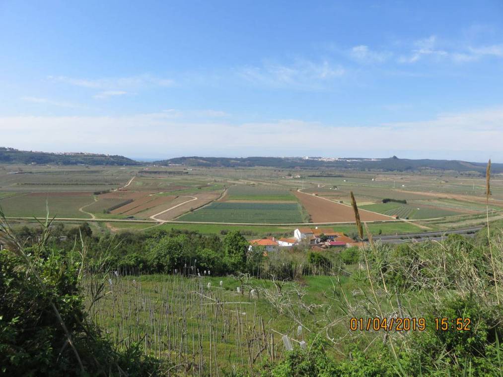 Campos de cultivo na área de intervenção