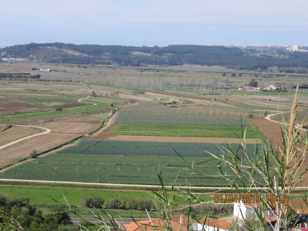 Campos de cultivo na área de intervenção