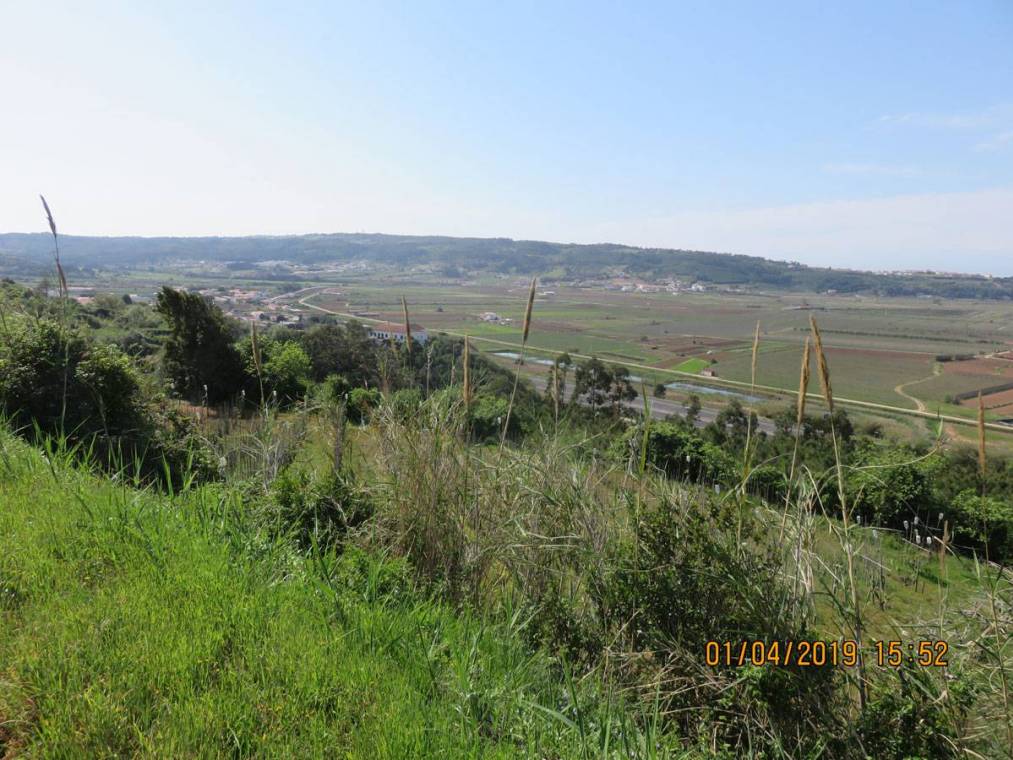 Campos de cultivo na área de intervenção