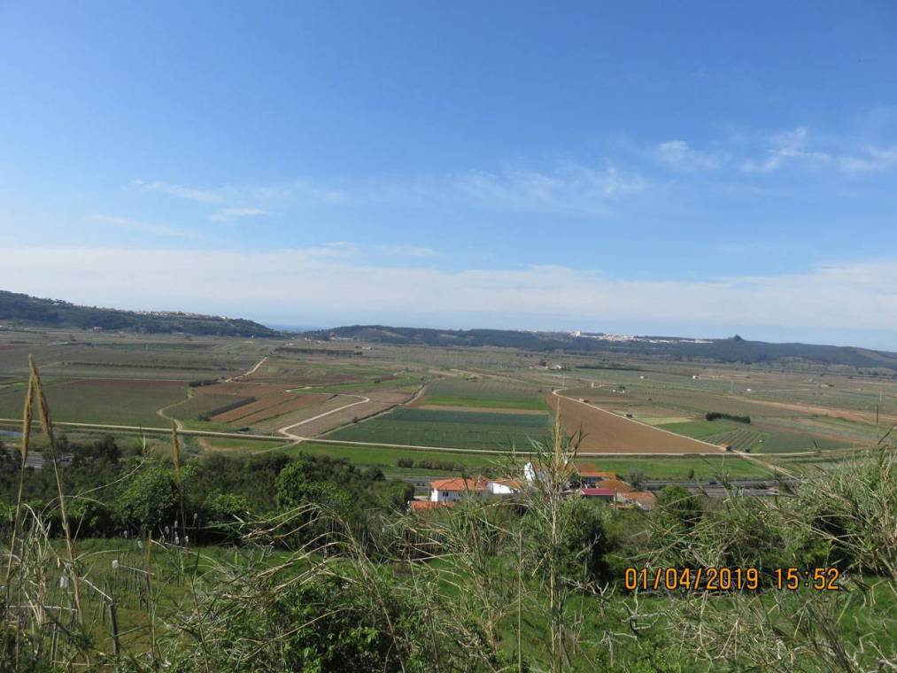 Campos de cultivo na área de intervenção