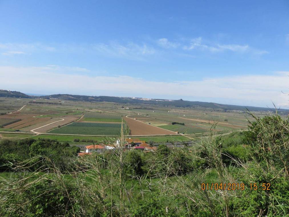 Campos de cultivo na área de intervenção