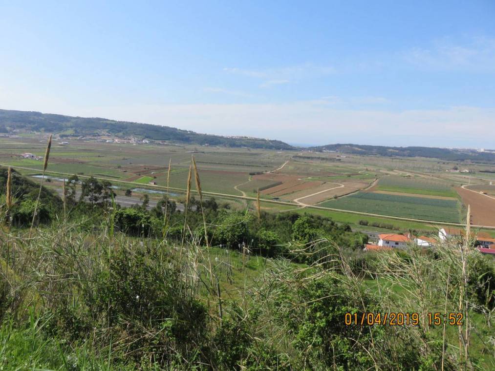 Campos de cultivo na área de intervenção