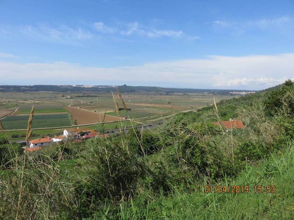 Campos de cultivo na área de intervenção