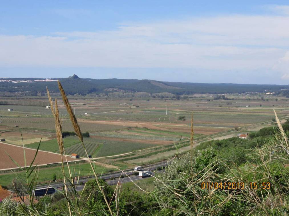 Campos de cultivo na área de intervenção