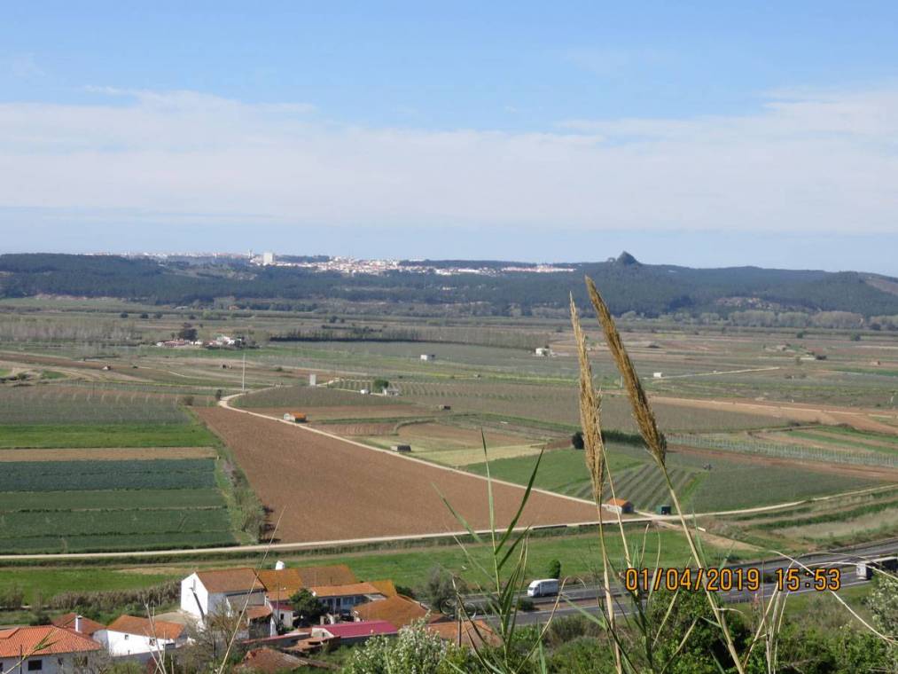 Campos de cultivo na área de intervenção