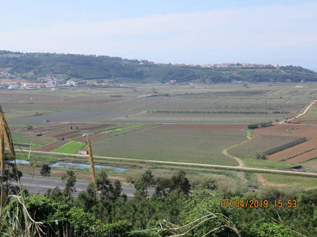 Campos de cultivo na área de intervenção