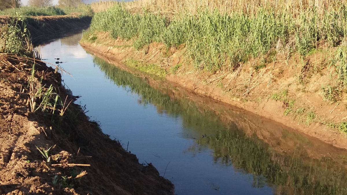 Limpeza do Rio - Novembro de 2016