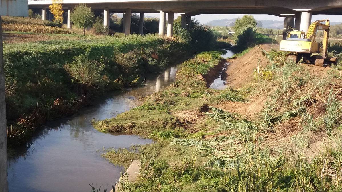 Limpeza do Rio - Novembro de 2016