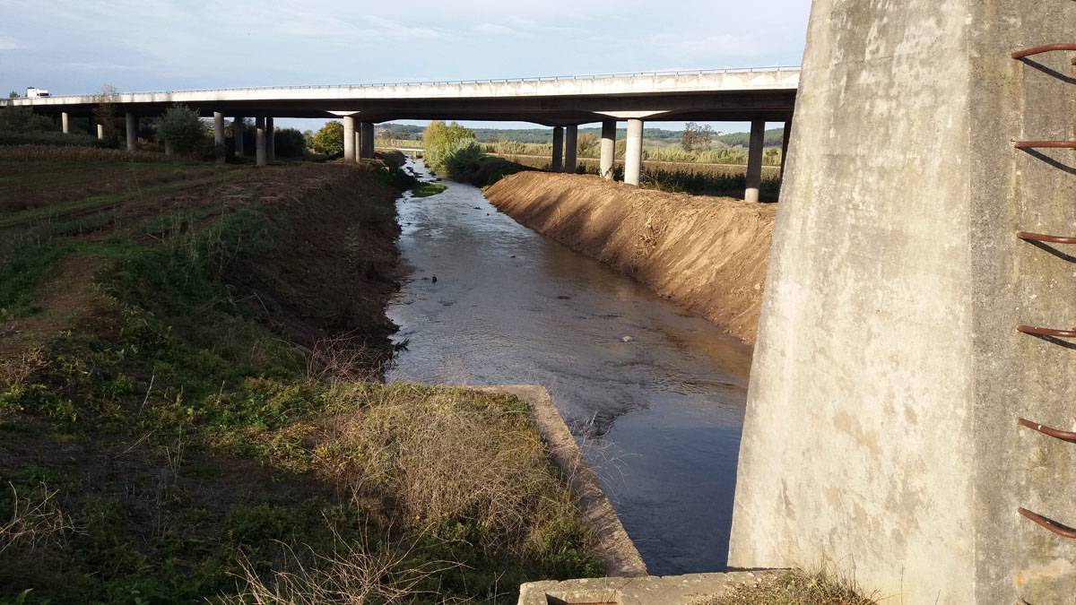 Limpeza do Rio - Novembro de 2016