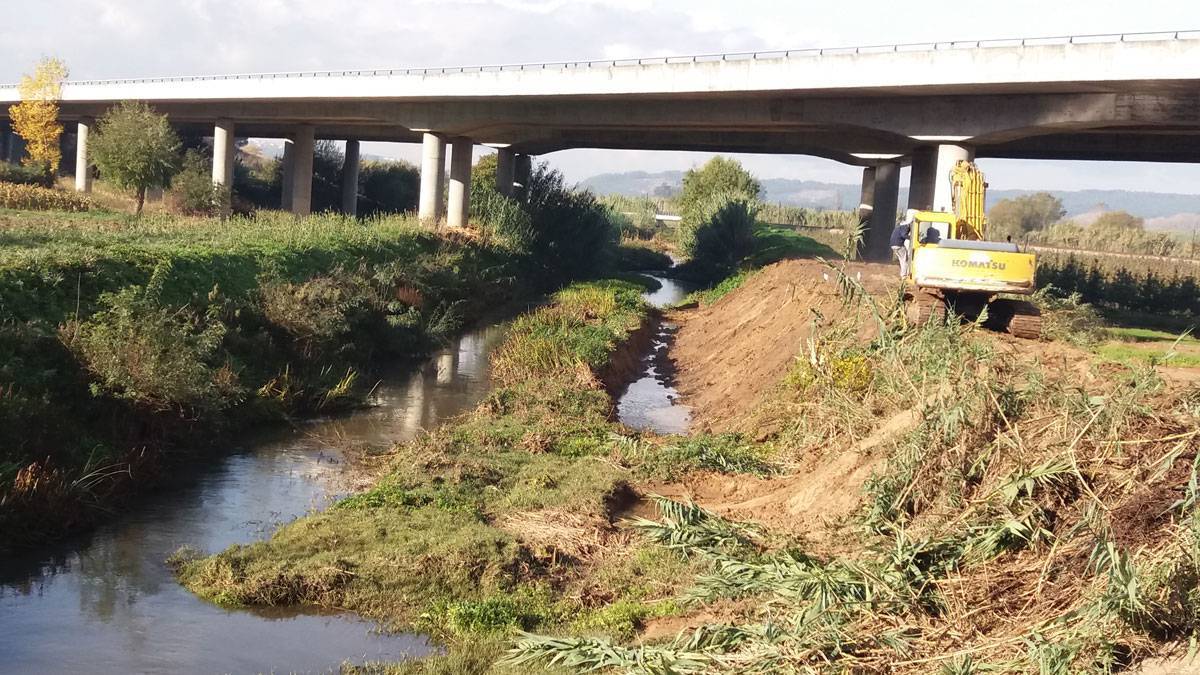 Limpeza do Rio - Novembro de 2016