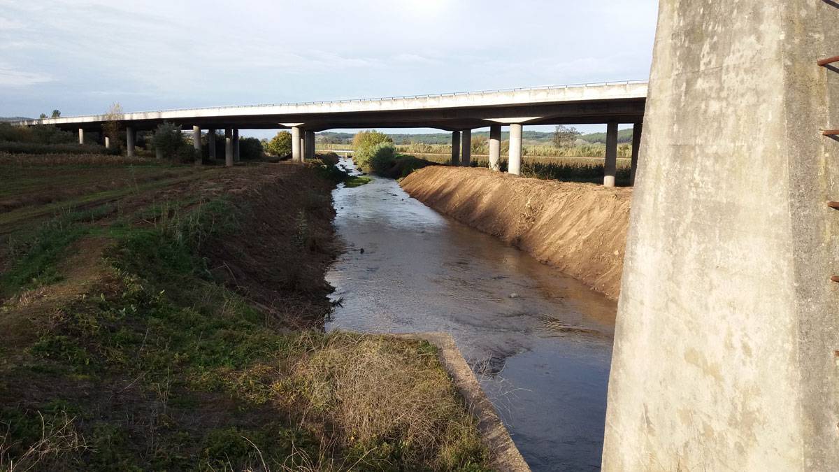 Limpeza do Rio - Novembro de 2016