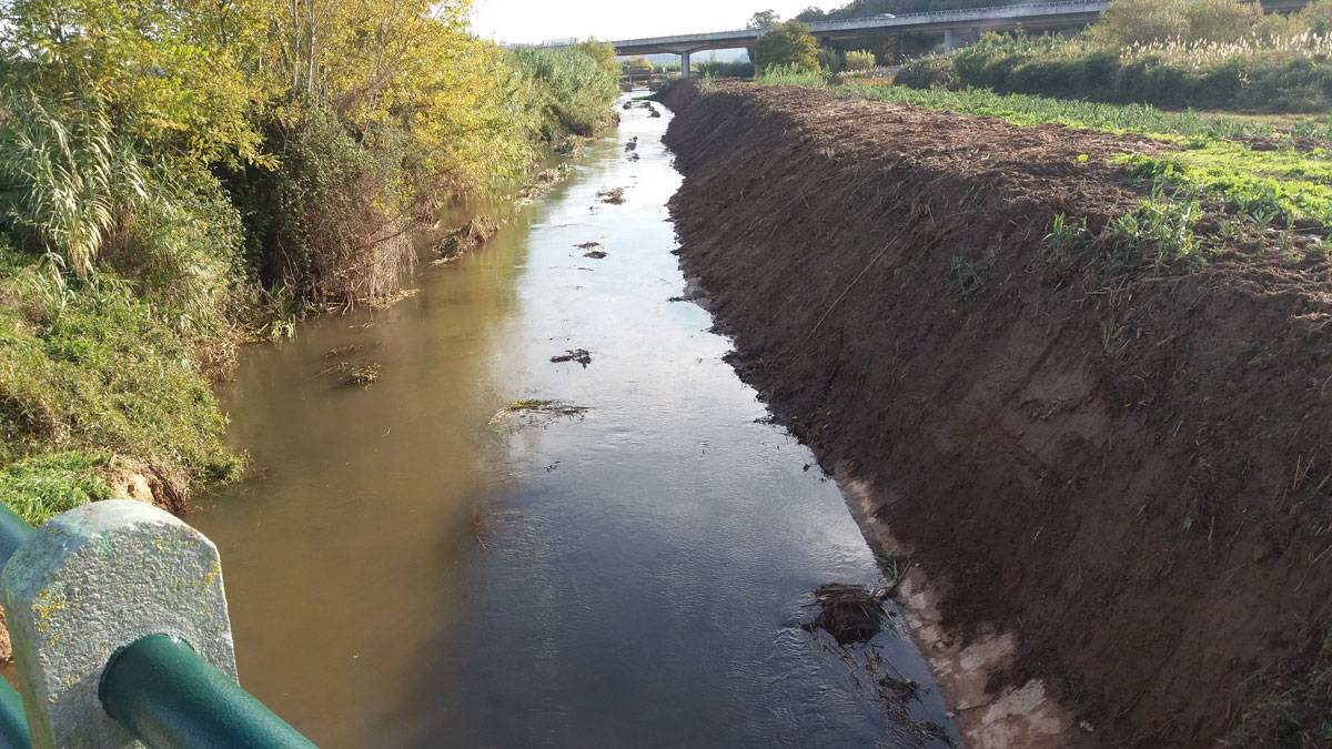 Limpeza do Rio - Novembro de 2016