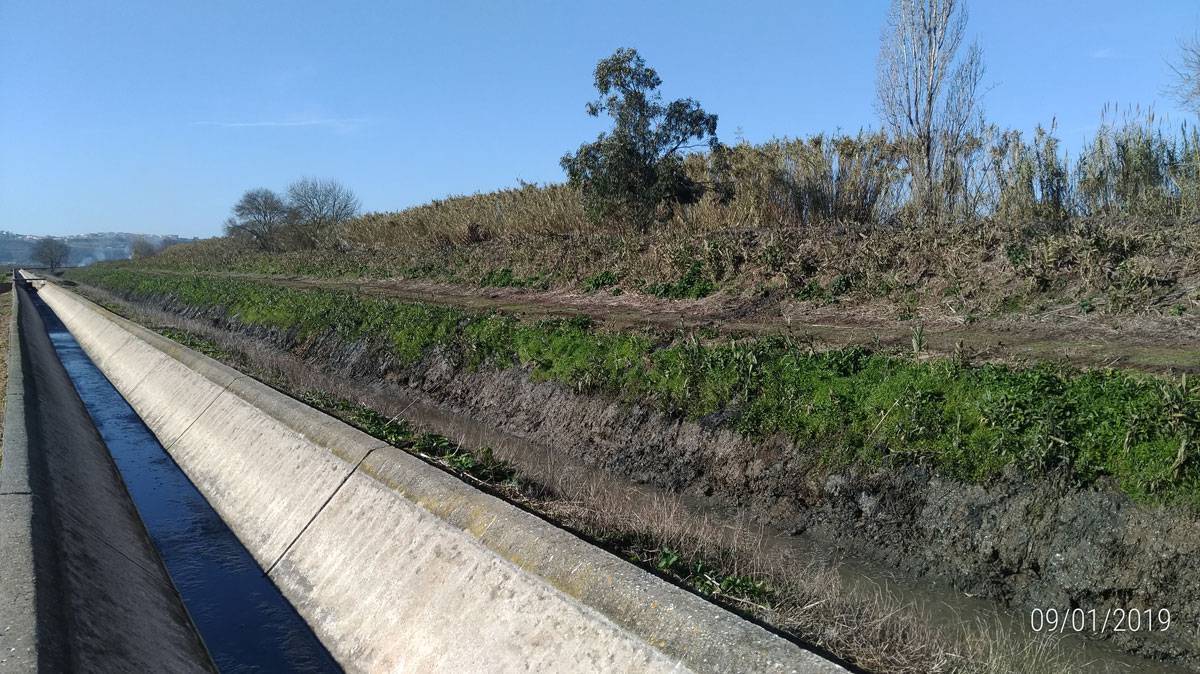 Limpeza do Coletor - Janeiro de 2019