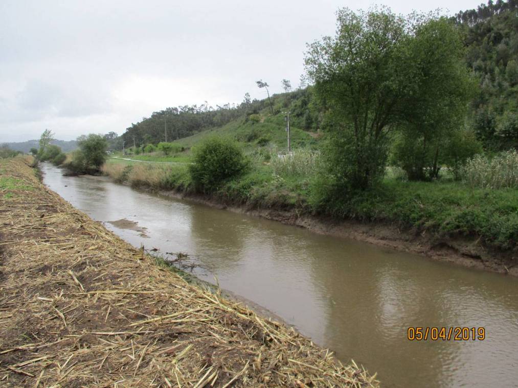 Limpeza do Rio Alcôa – Margem de Alcobaça - Abril de 2019