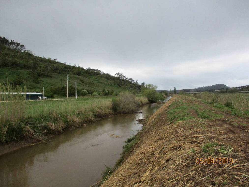 Limpeza do Rio Alcôa – Margem de Alcobaça - Abril de 2019