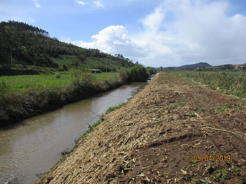 Limpeza do Rio Alcôa – Margem de Alcobaça - Abril de 2019