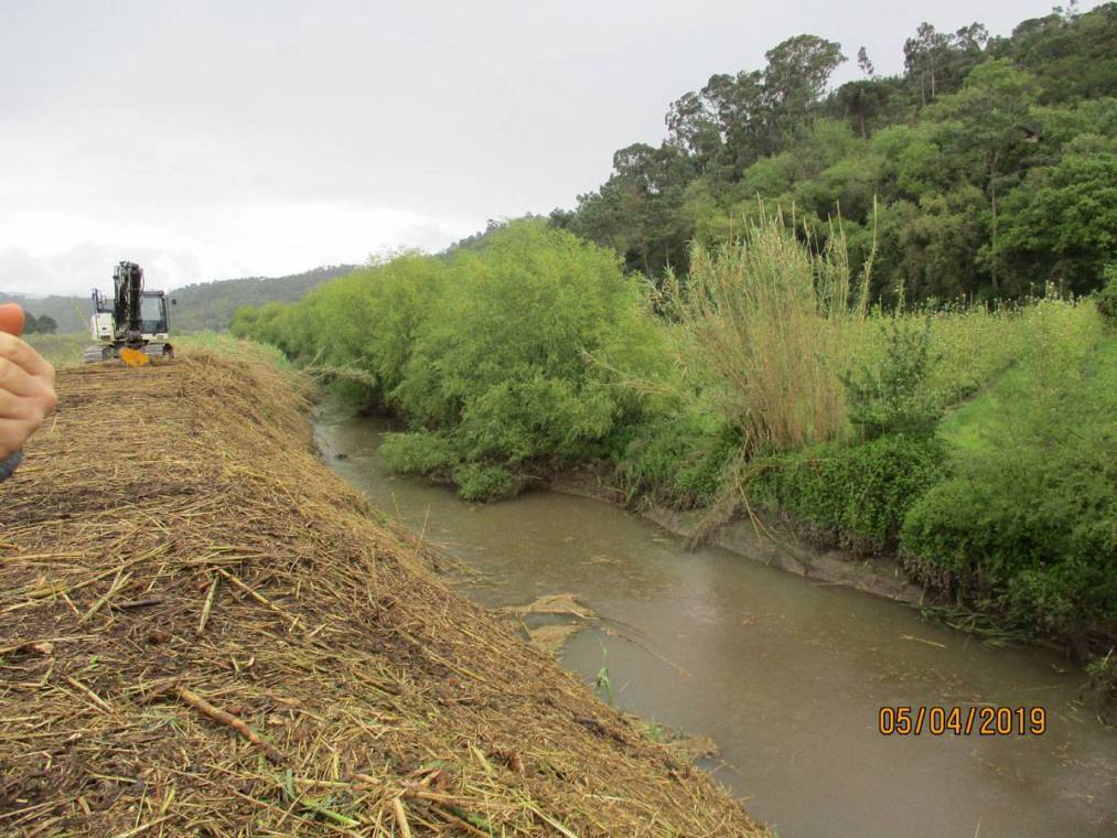 Limpeza do Rio Alcôa – Margem de Alcobaça - Abril de 2019