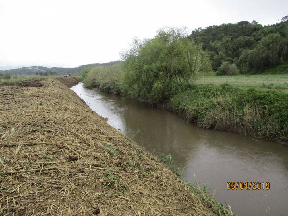 Limpeza do Rio Alcôa – Margem de Alcobaça - Abril de 2019