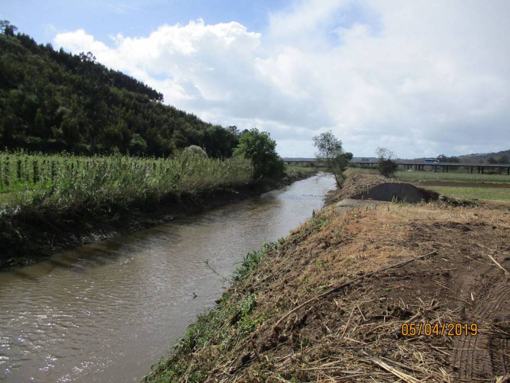 Limpeza do Rio Alcôa – Margem de Alcobaça - Abril de 2019