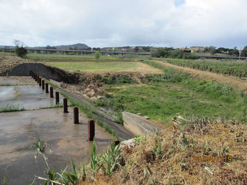 Limpeza do Rio Alcôa – Margem de Alcobaça - Abril de 2019