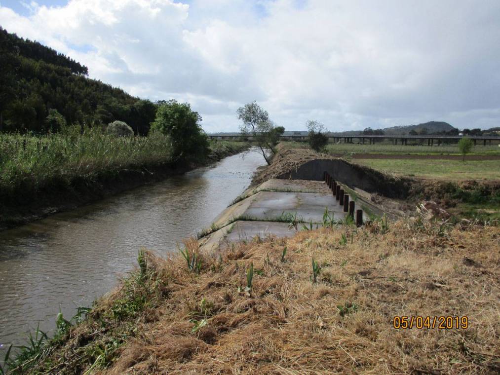 Limpeza do Rio Alcôa – Margem de Alcobaça - Abril de 2019