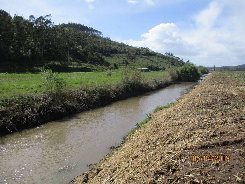 Limpeza do Rio Alcôa – Margem de Alcobaça - Abril de 2019