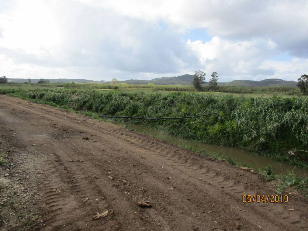 Limpeza do Rio Alcôa – Margem de Alcobaça - Abril de 2019