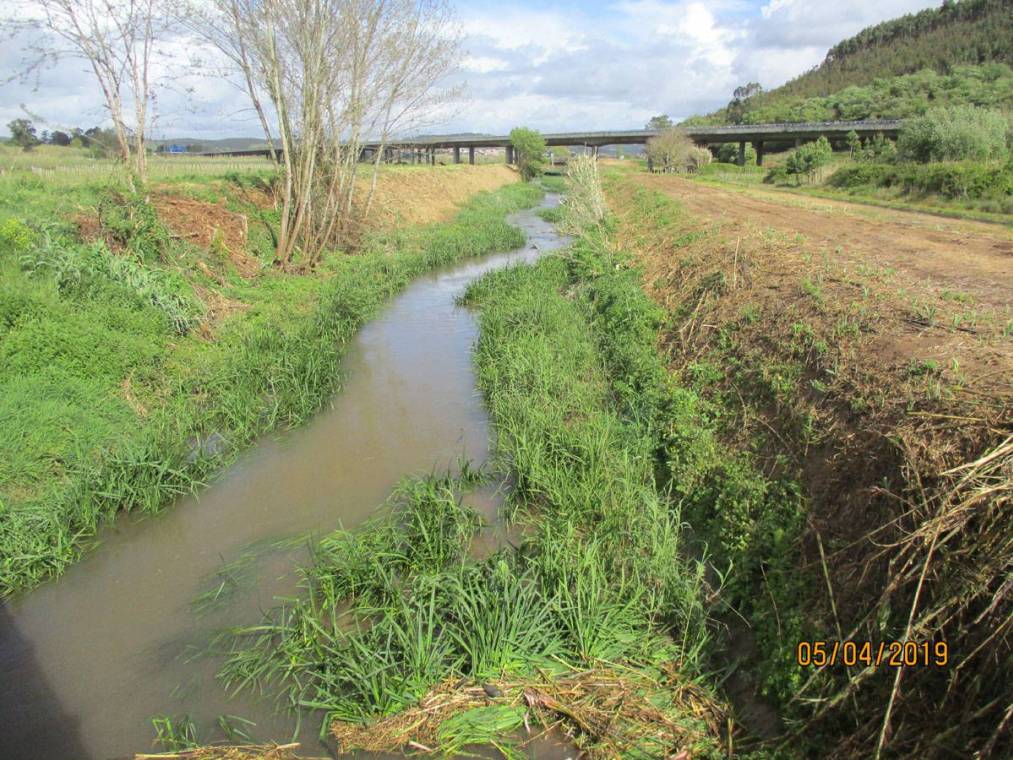 Limpeza do Rio Alcôa – Margem de Alcobaça - Abril de 2019