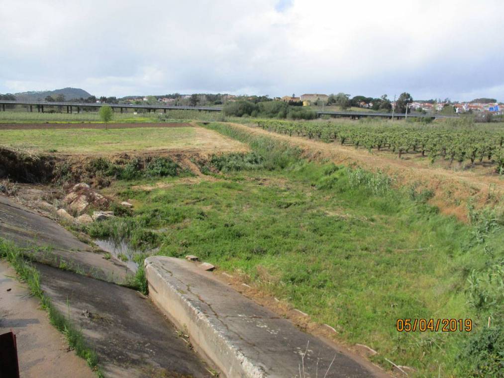 Limpeza do Rio Alcôa – Margem de Alcobaça - Abril de 2019