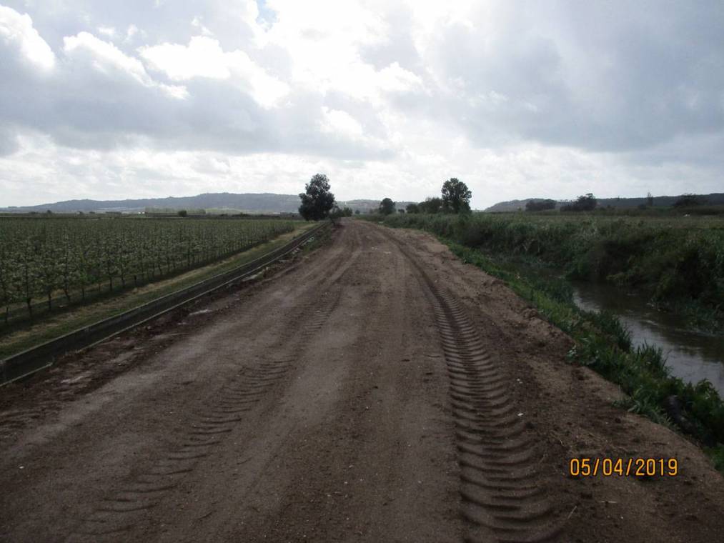 Limpeza do Rio Alcôa – Margem de Alcobaça - Abril de 2019