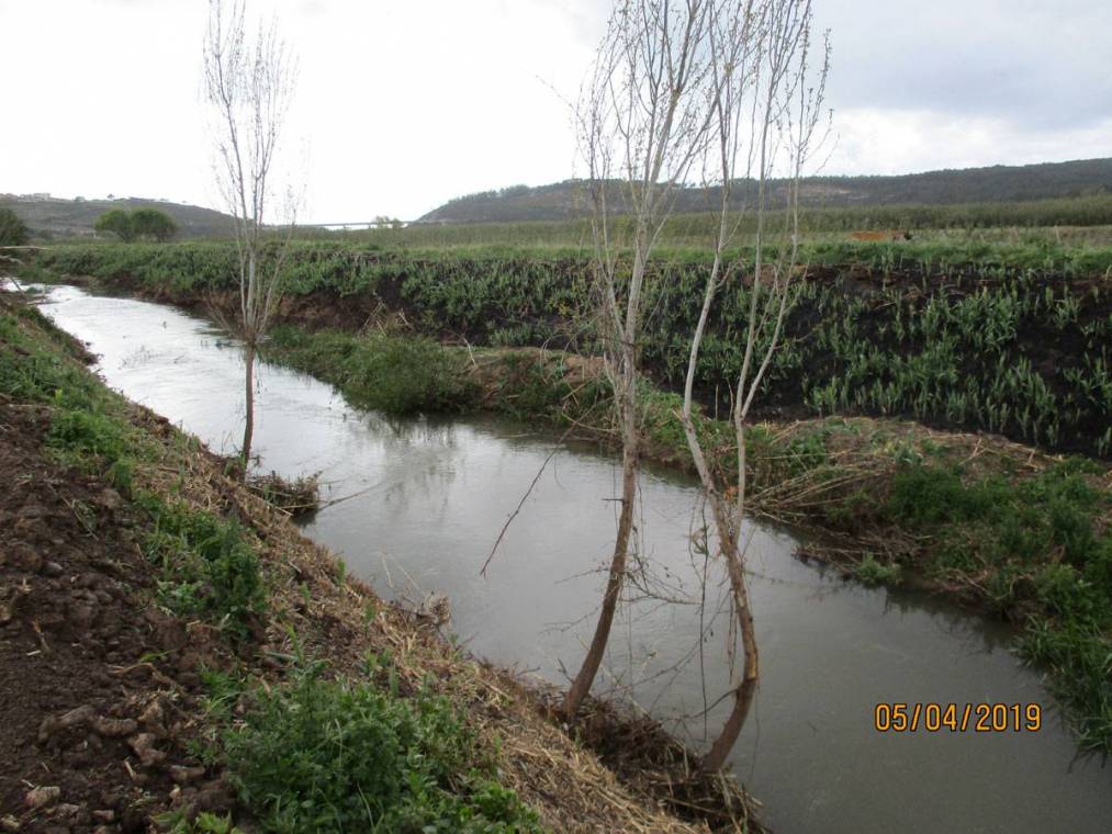 Limpeza do Rio Alcôa – Margem de Alcobaça - Abril de 2019