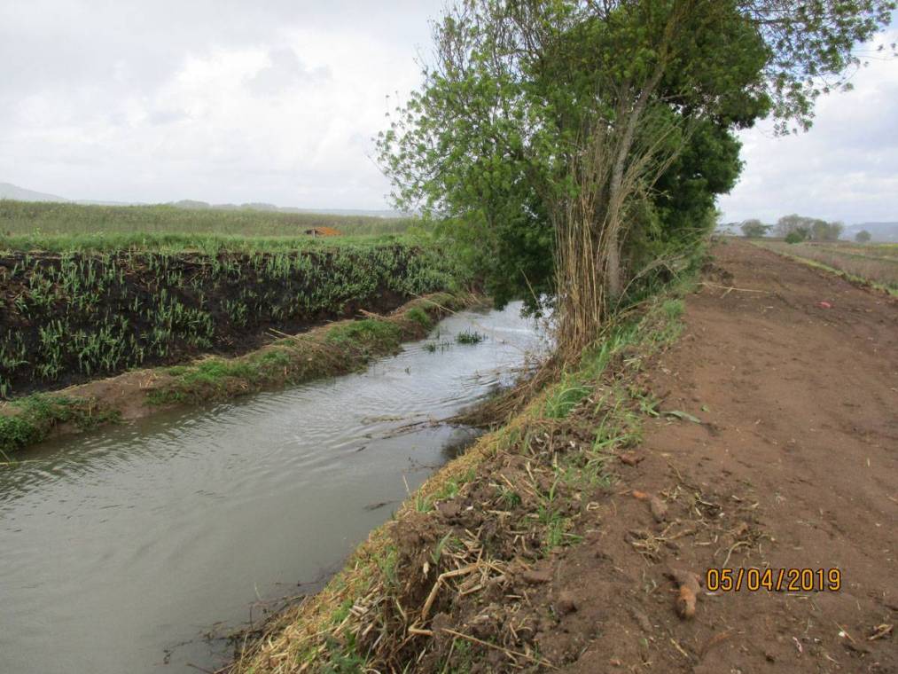 Limpeza do Rio Alcôa – Margem de Alcobaça - Abril de 2019