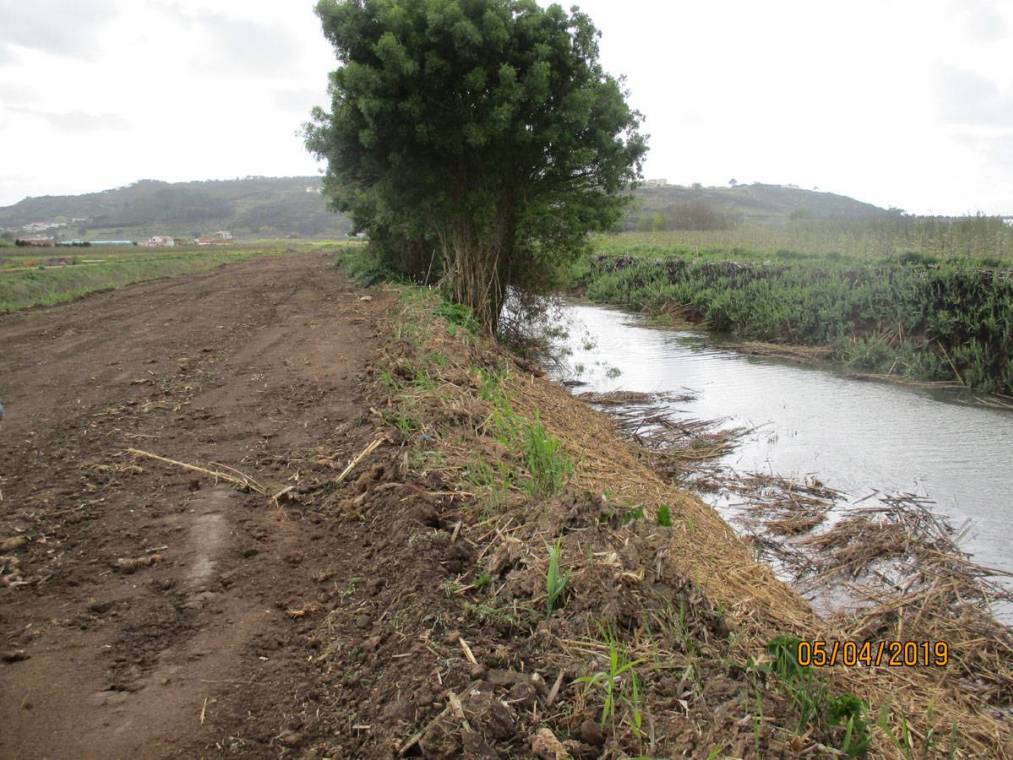 Limpeza do Rio Alcôa – Margem de Alcobaça - Abril de 2019