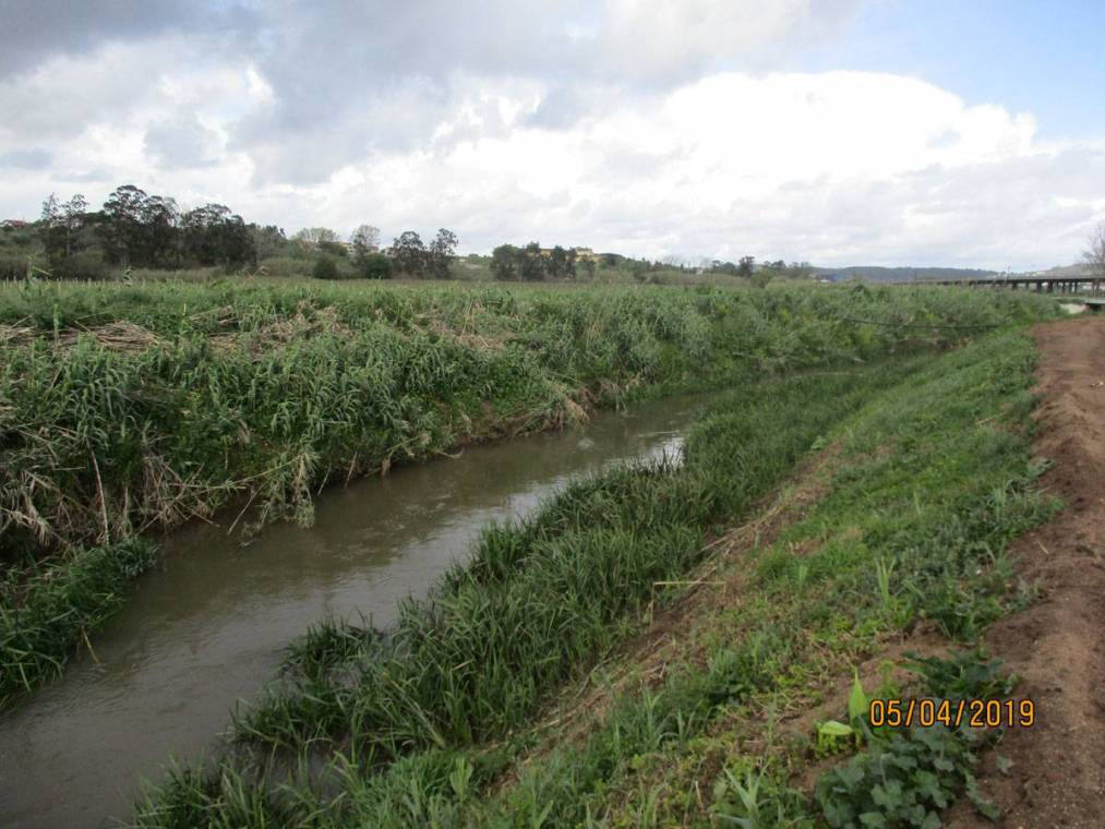 Limpeza do Rio Alcôa – Margem de Alcobaça - Abril de 2019