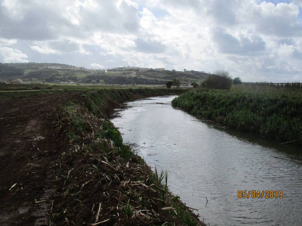 Limpeza do Rio Alcôa – Margem de Alcobaça - Abril de 2019