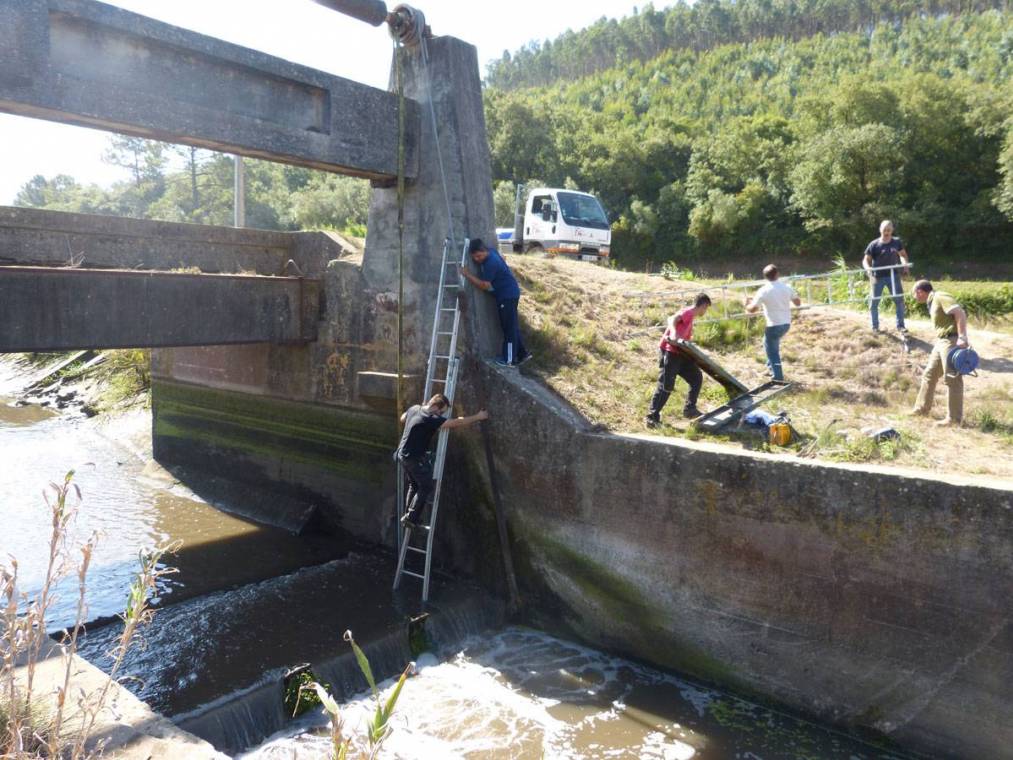 Manutenção da Balança