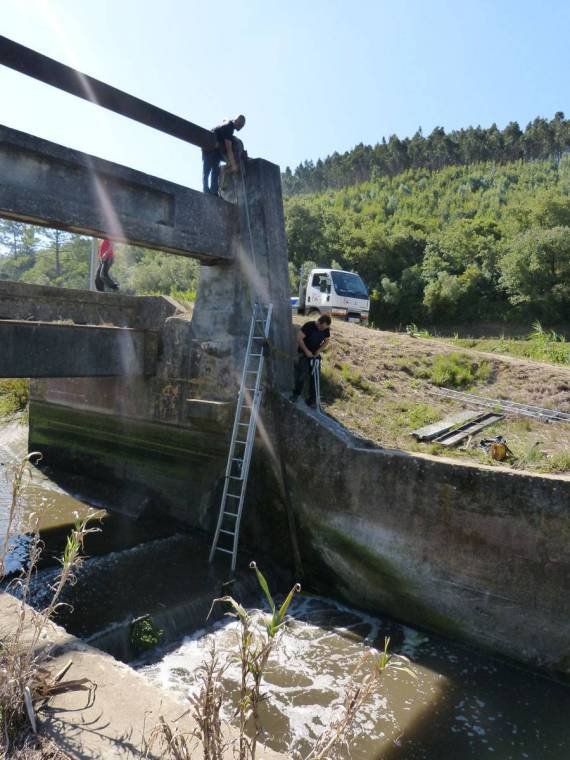 Manutenção da Balança